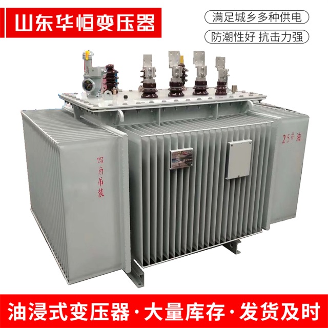 S13-10000/35东营东营东营电力变压器厂家